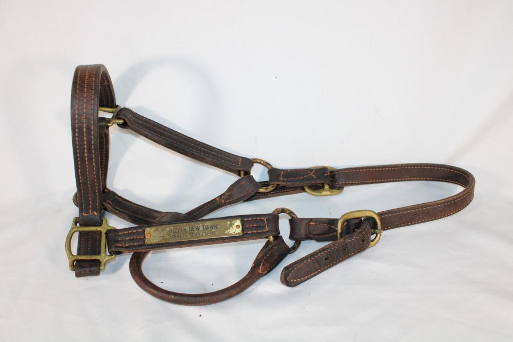 Rizzi New Dawn Abracadabra Farms Horse Halter (1 of 2)
