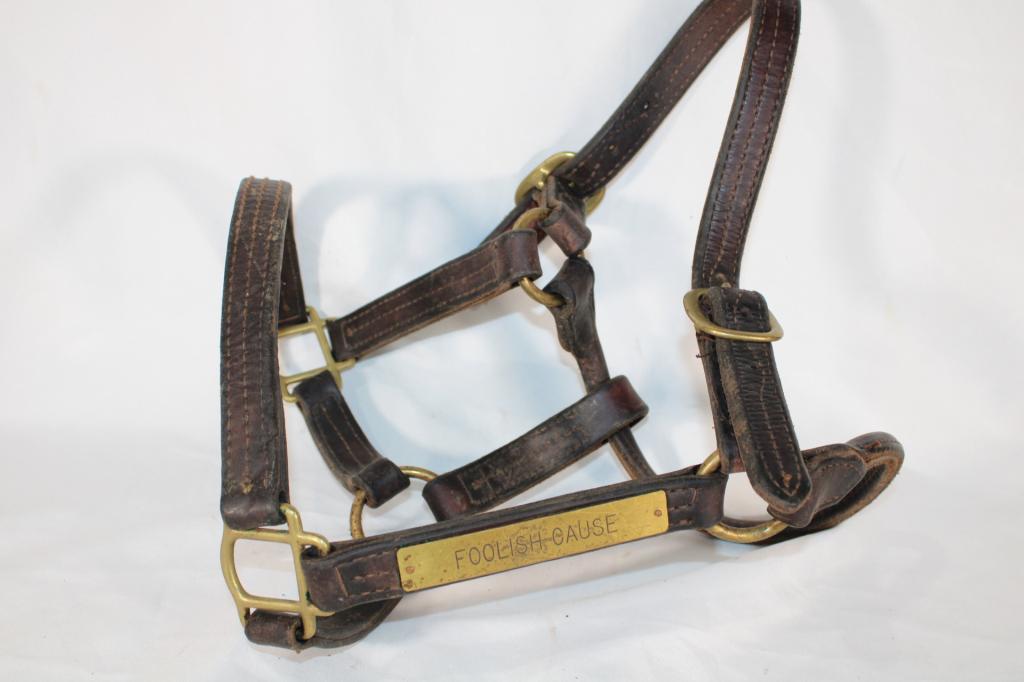 Foolish Cause Leather Horse Halter (1 of 2)