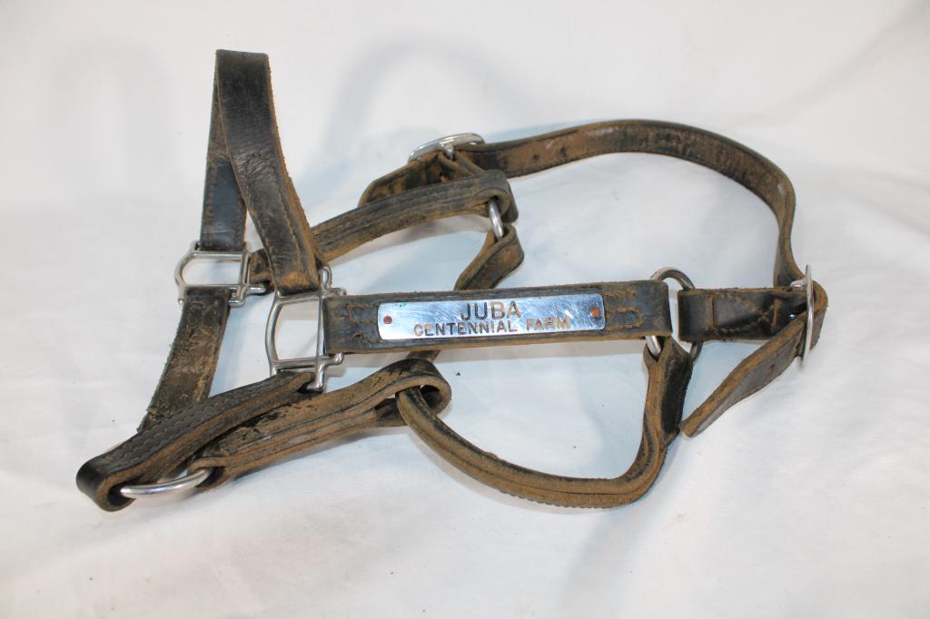 Juba Centennial Farm Leather Horse Halter (1 of 2)