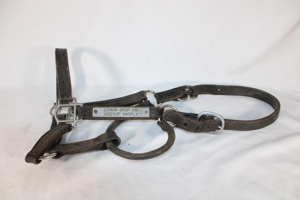 Lemon Drop Kid Giddyup Gadfly Leather Halter (1 of 2)