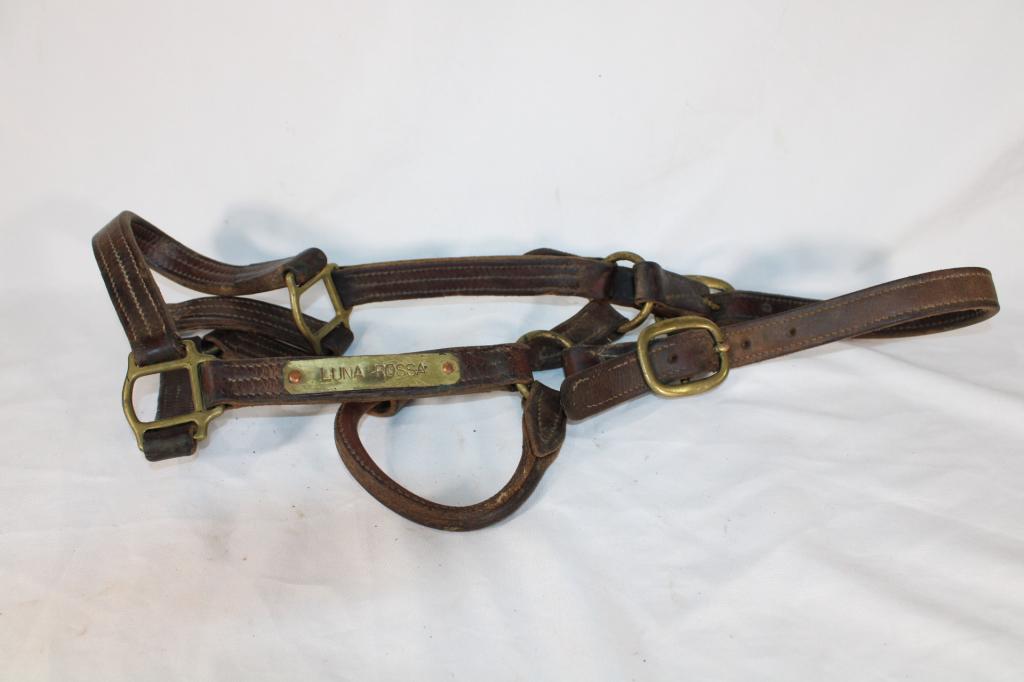 Luna Rossa Leather Horse Halter (1 of 2)