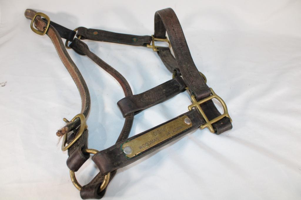 Oisin Woodman-Valadina Leather Horse Halter (1 of 2)