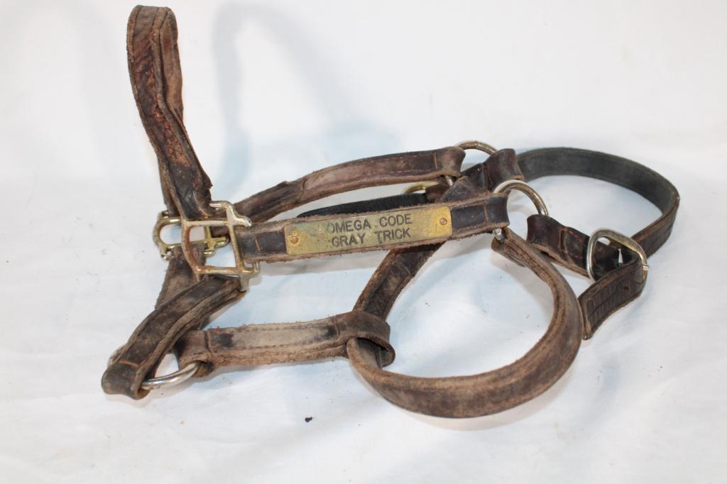 Omega Code Gray Trick Leather Horse Halter (1 of 2)