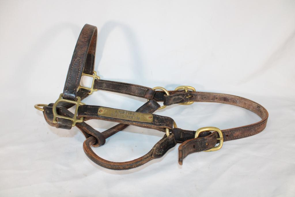 Langfuhr Ascot Dream Leather Horse Halter (1 of 2)