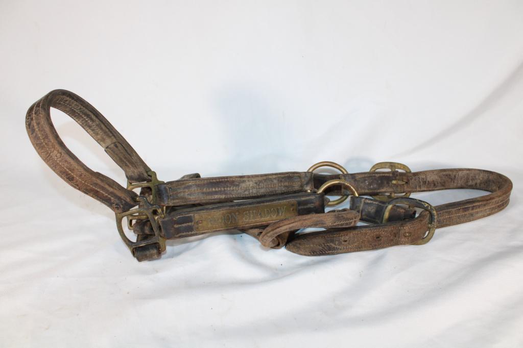 Moon Shadow Leather Horse Halter (1 of 2)