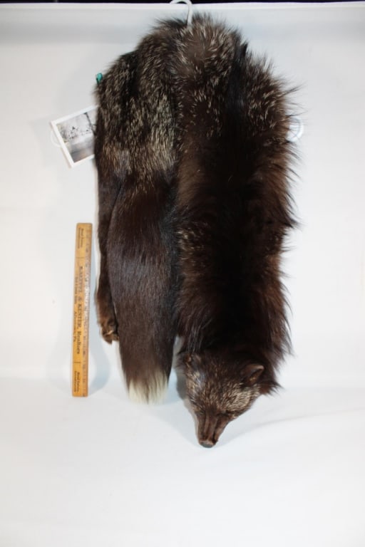 Vintage Fox Full Body Stole (1 of 2)
