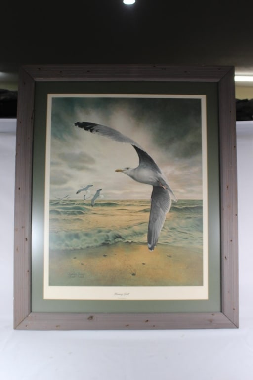 Signed Charles Frace Herring Gull Print (1 of 4)