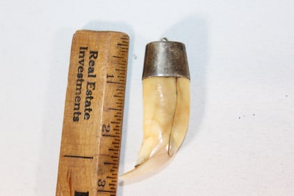 Large VTG Tooth? necklace charm