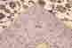 item-128428530=4