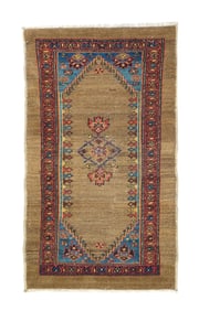 Antique Persian Bakhshayesh Rug 2'4" x 4'1" (0.71 x 1.24 M)