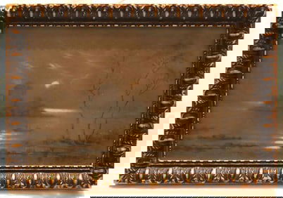 M.L Representation of nature