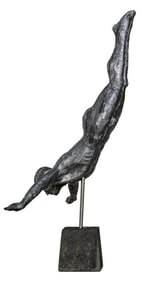 Marco Olivier Free Fall Diver