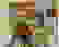 item-90394069=3