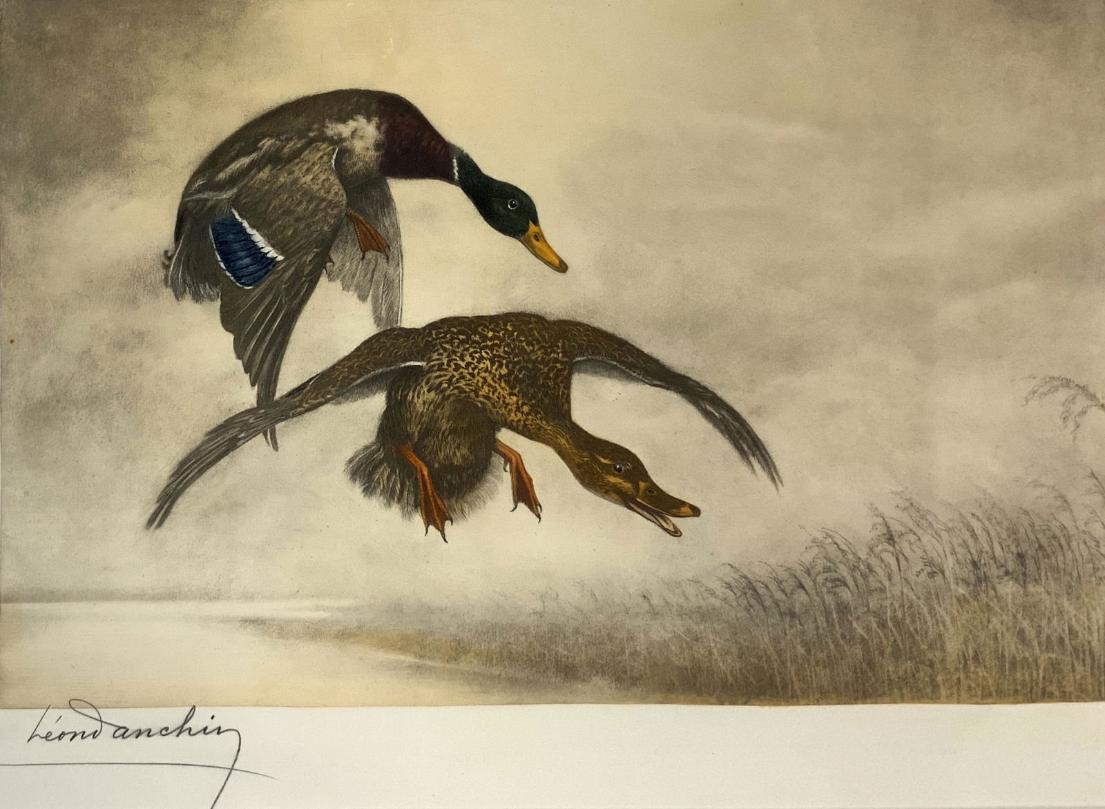 Leon Danchin Sgd. Lithograph of Ducks in Flight.: Possibly an Engraving. Signed Lower Left and Numbered Lower Right, 268 of 500. The Impression Size Measures 16" x 23 1/2". The Frame Size Measures 26" x 33". Third-Party Shipping or Personal Pickup Re
