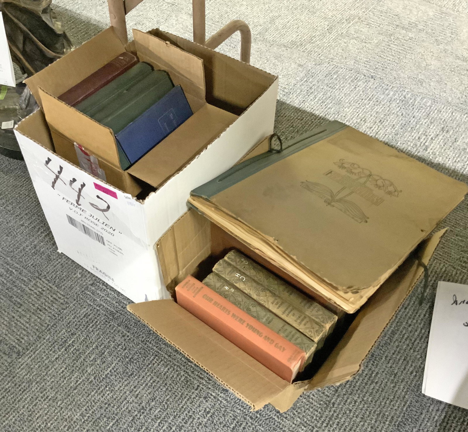 Lot of Antique Books.: Also, a Leaf Collection. Books include some Very Old Bobbsey Twins and Other Old Books. Third-Party Shipping or Personal Pickup Required.