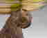 item-133909301=3