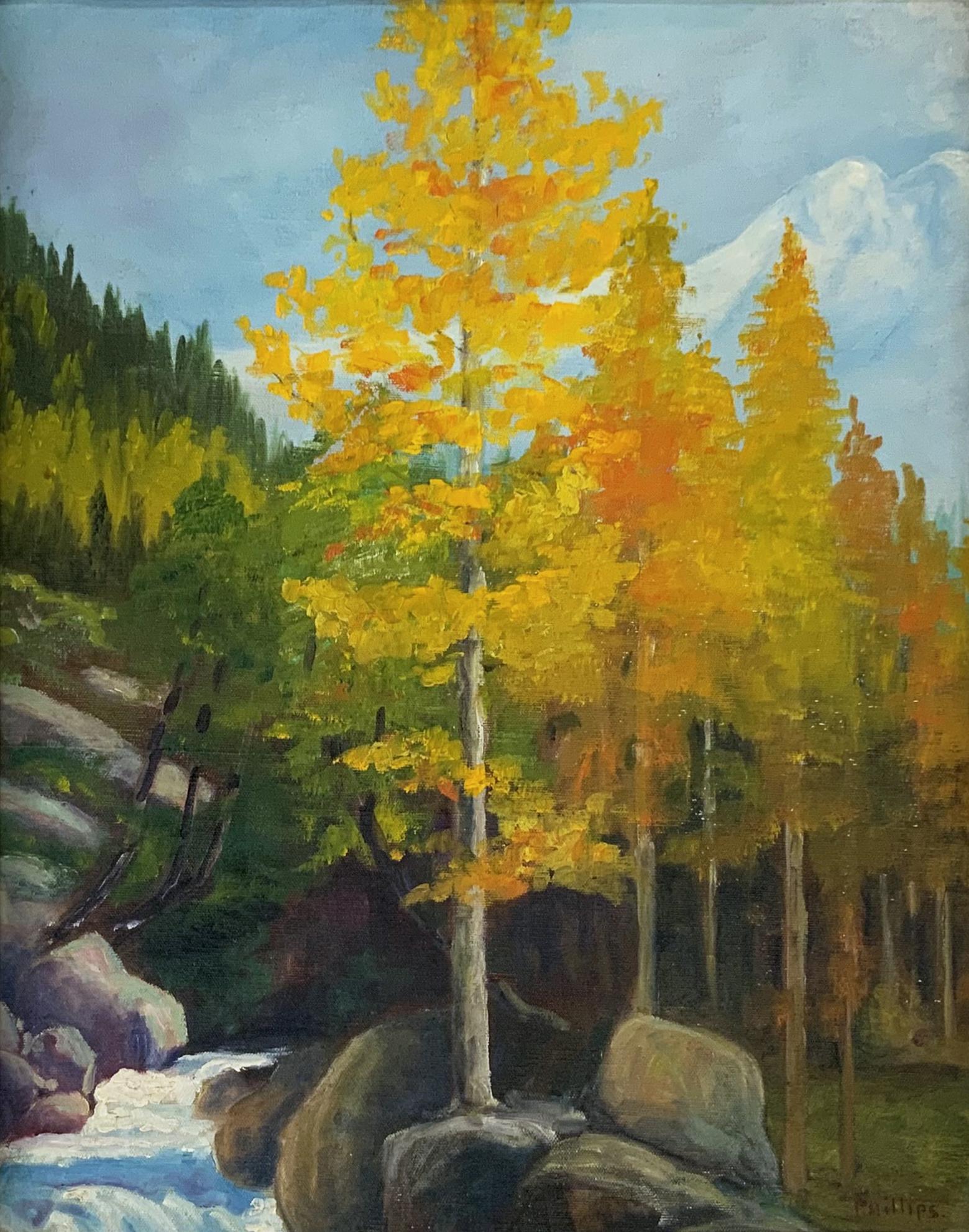 Oil Landscape Painting Sgd. (Bert Geer?) Phillips.: An Oil landscape depicting fall trees and a waterfall over rocks on canvas board by Bert Geer Phillips. The Paint is lightly textured in some areas. It is Signed lower right "Phillips". The Painting i