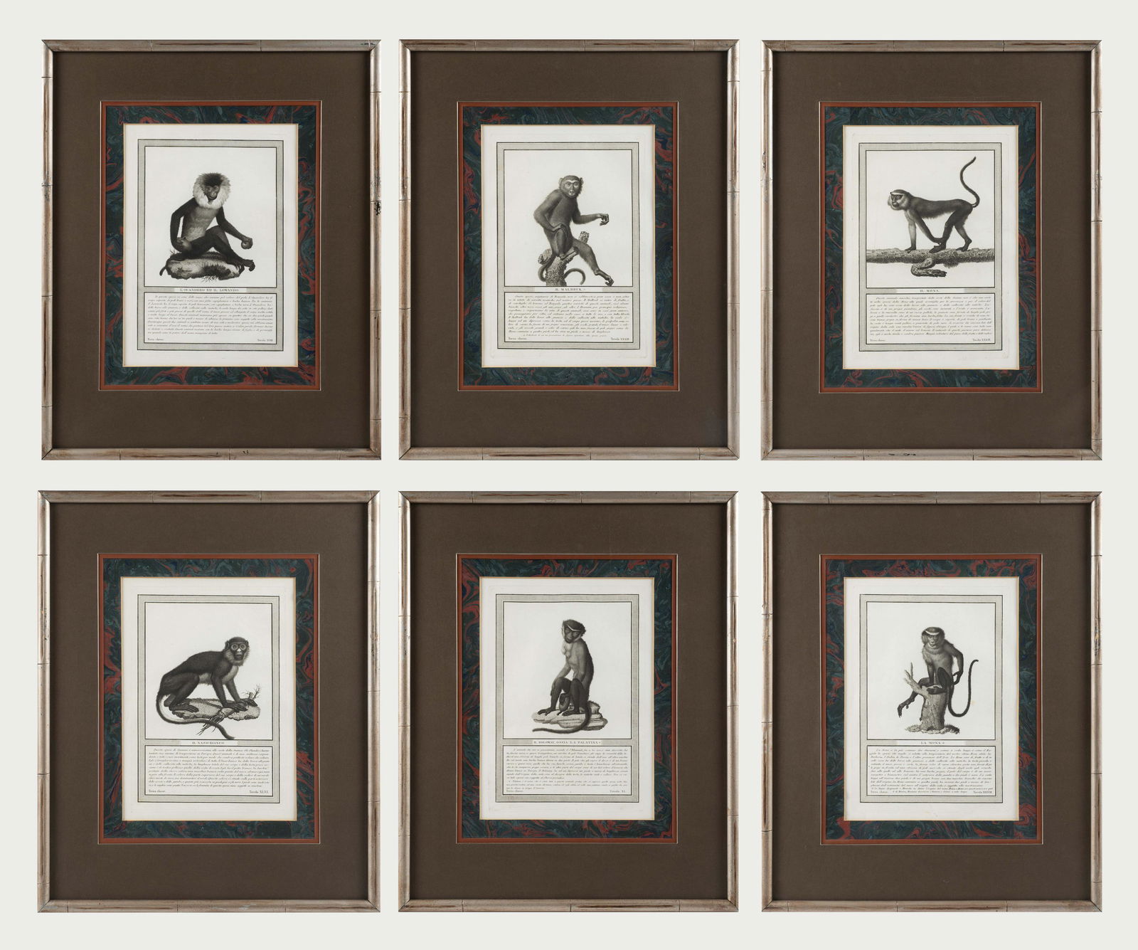 Set of 6 "Jacob's Monkeys" Copperplate Engravings. (1 of 13)