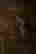 item-136490799=3