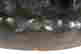 item-137049510=5