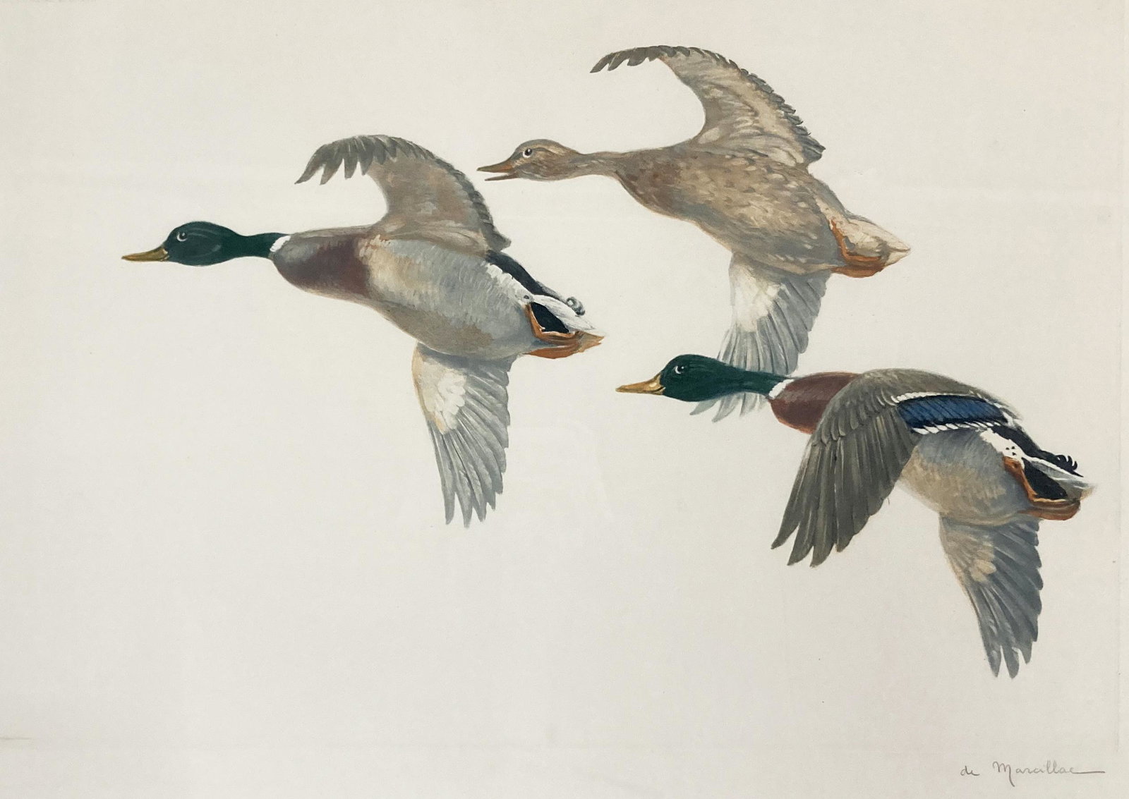 Signed Etching of Flying Ducks by De Marcillac. (1 of 5)