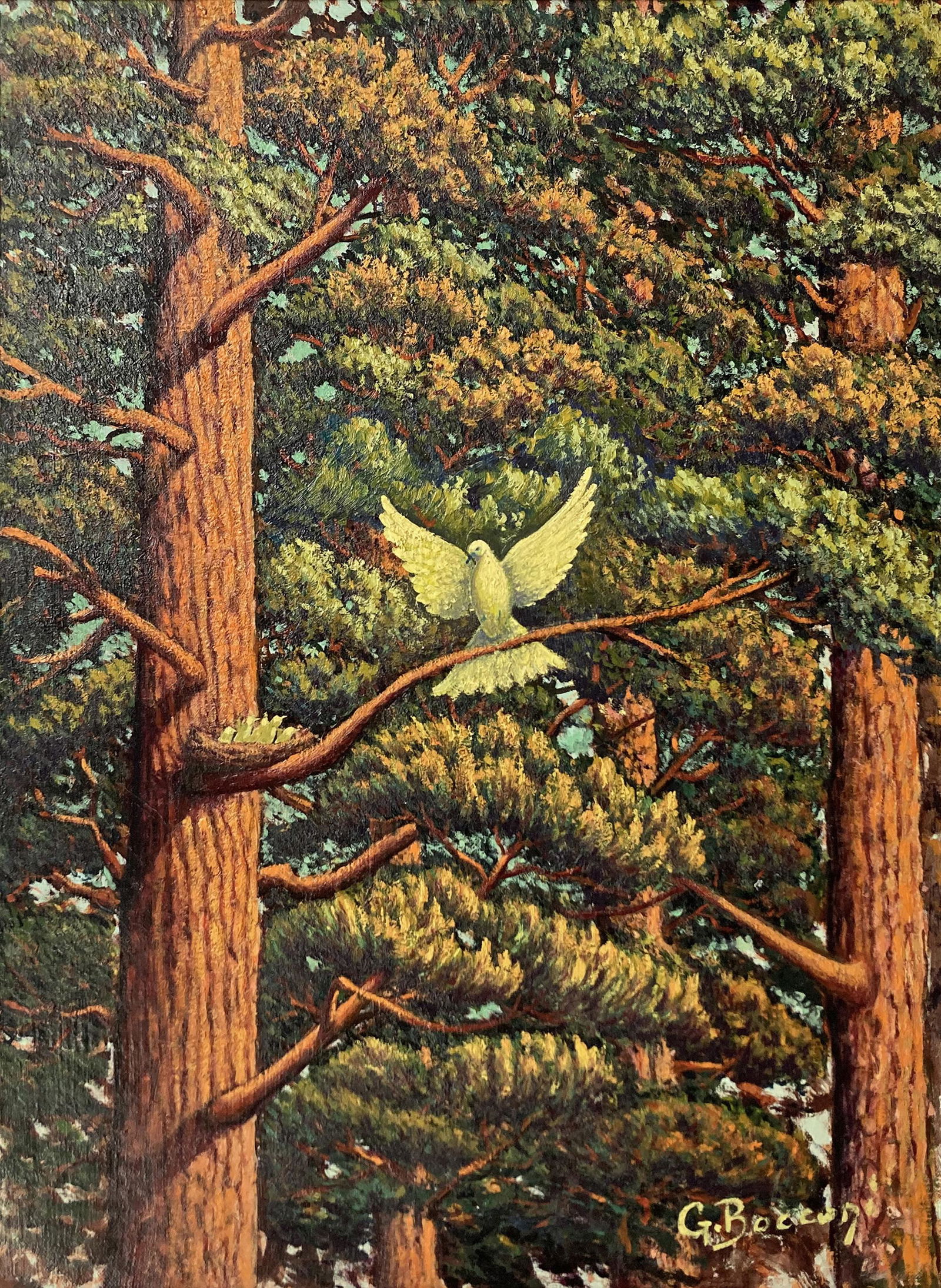G. Bocconi Painting of Dove in Redwood Forest. (1 of 5)