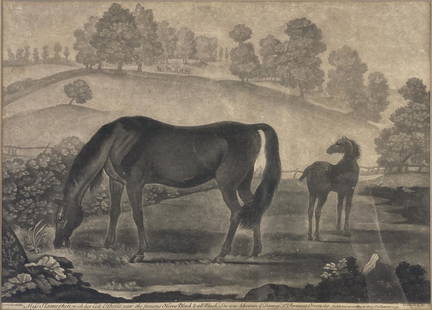 Antique Equestrian Engraving by Thomas Burford.: This equestrian engraving by Thomas Burford is after a painting by James Seymour. The lower line reads, "Miss Slamerkin, with her colt Othello, now the famous Horse Black & all Black, she was likewise