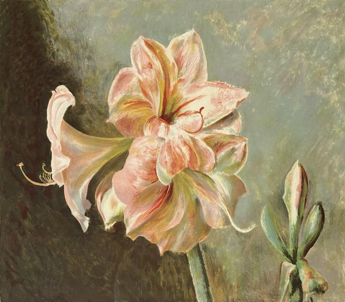Henrietta Wyeth Color Lithograph, Pink Amaryllis. (1 of 6)