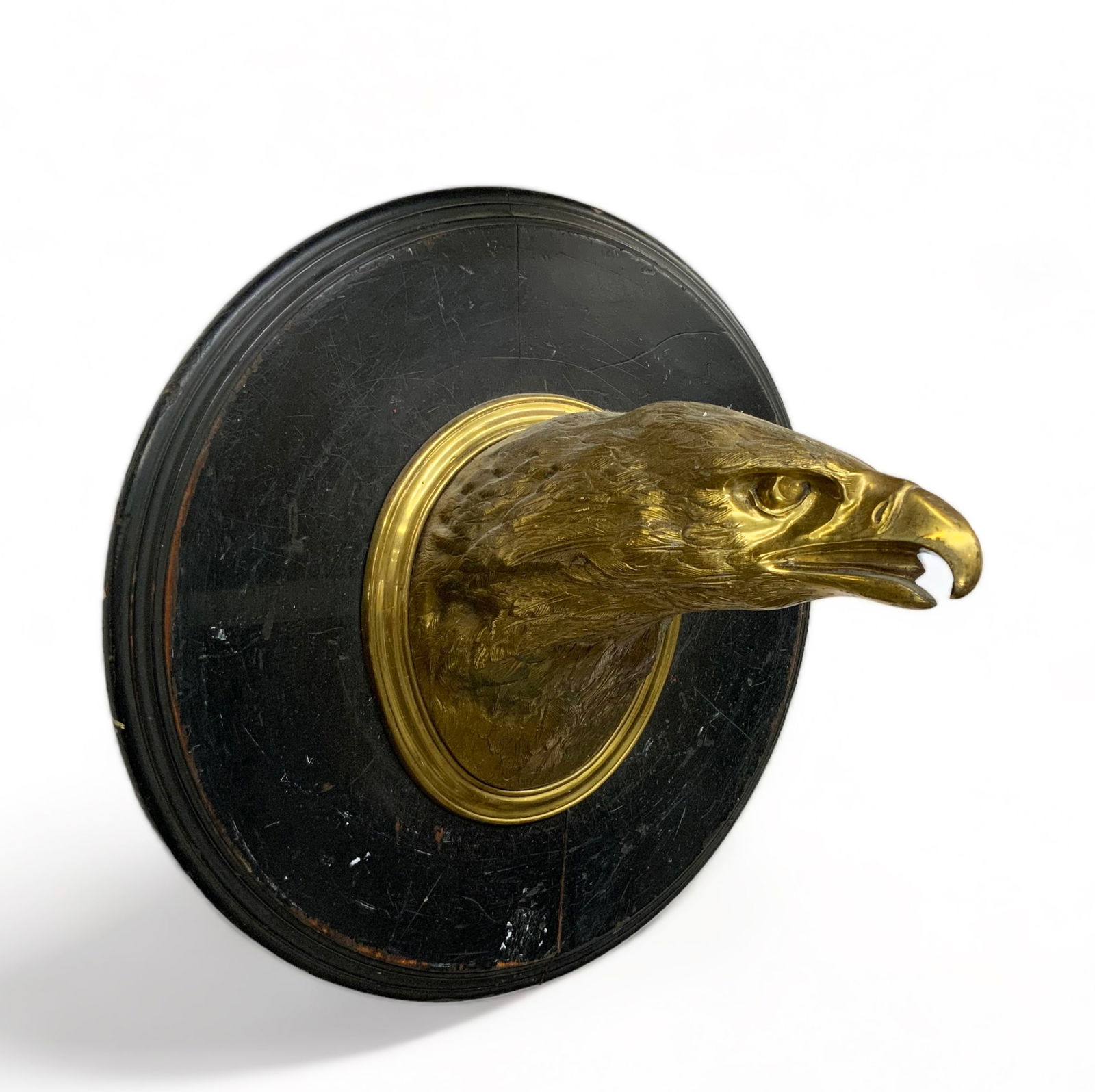 Brass Eagle Head on Wood English Wall Mount. (1 of 1)