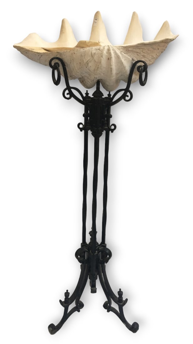 Large Giant Natural Clam Shell w/ Iron Stand. (1 of 4)