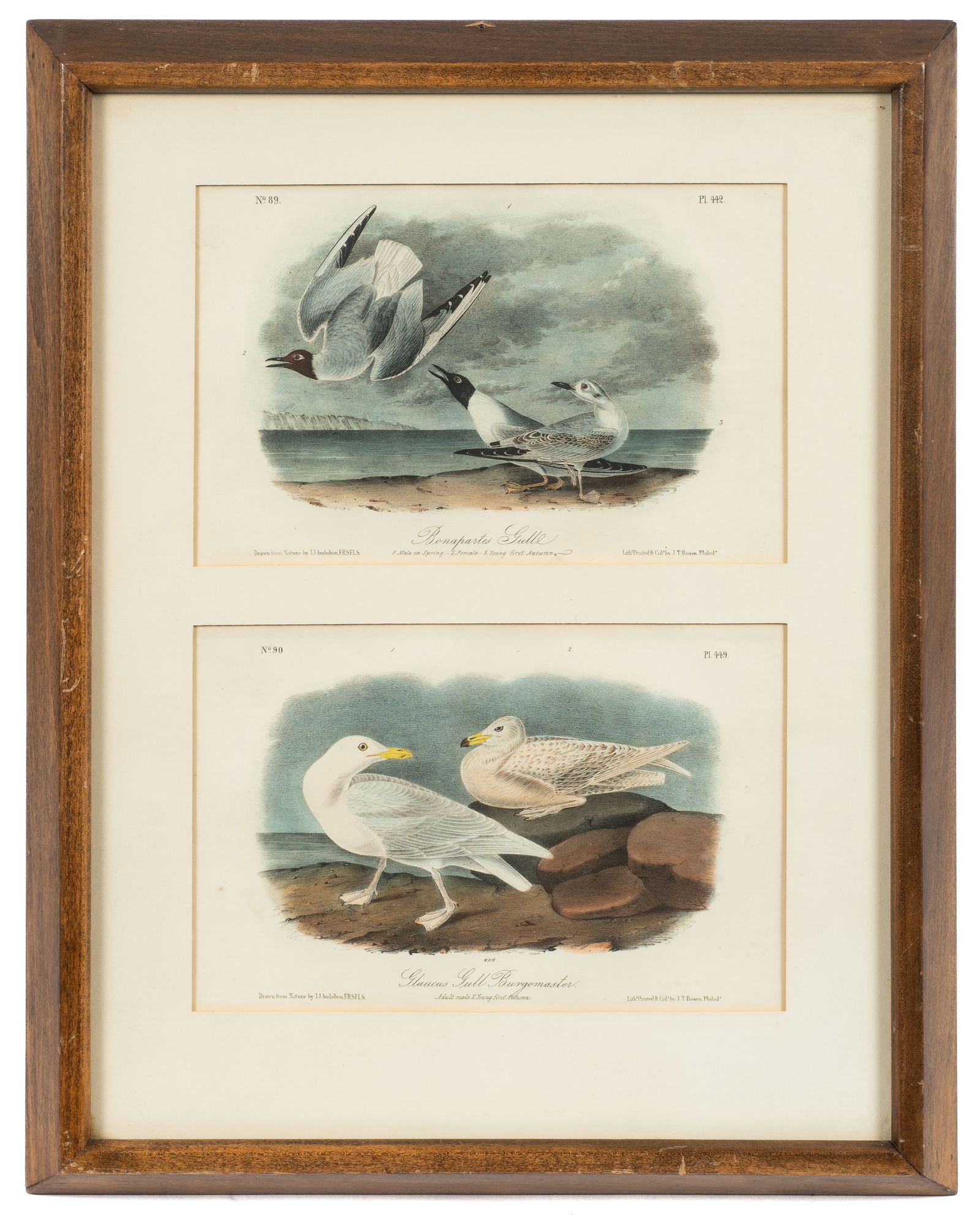 Pr. of Bowen & Audubon Royal Octavo Prints. (1 of 8)