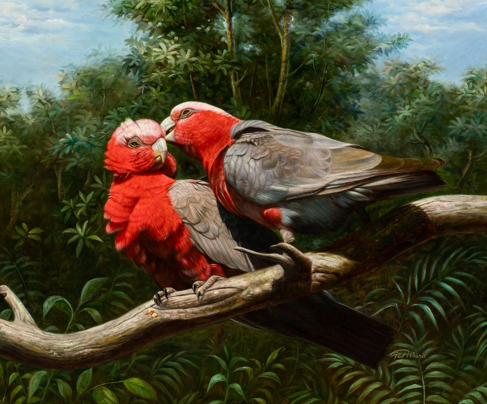 Painting of Galah Birds, Ted Ward. (1 of 5)