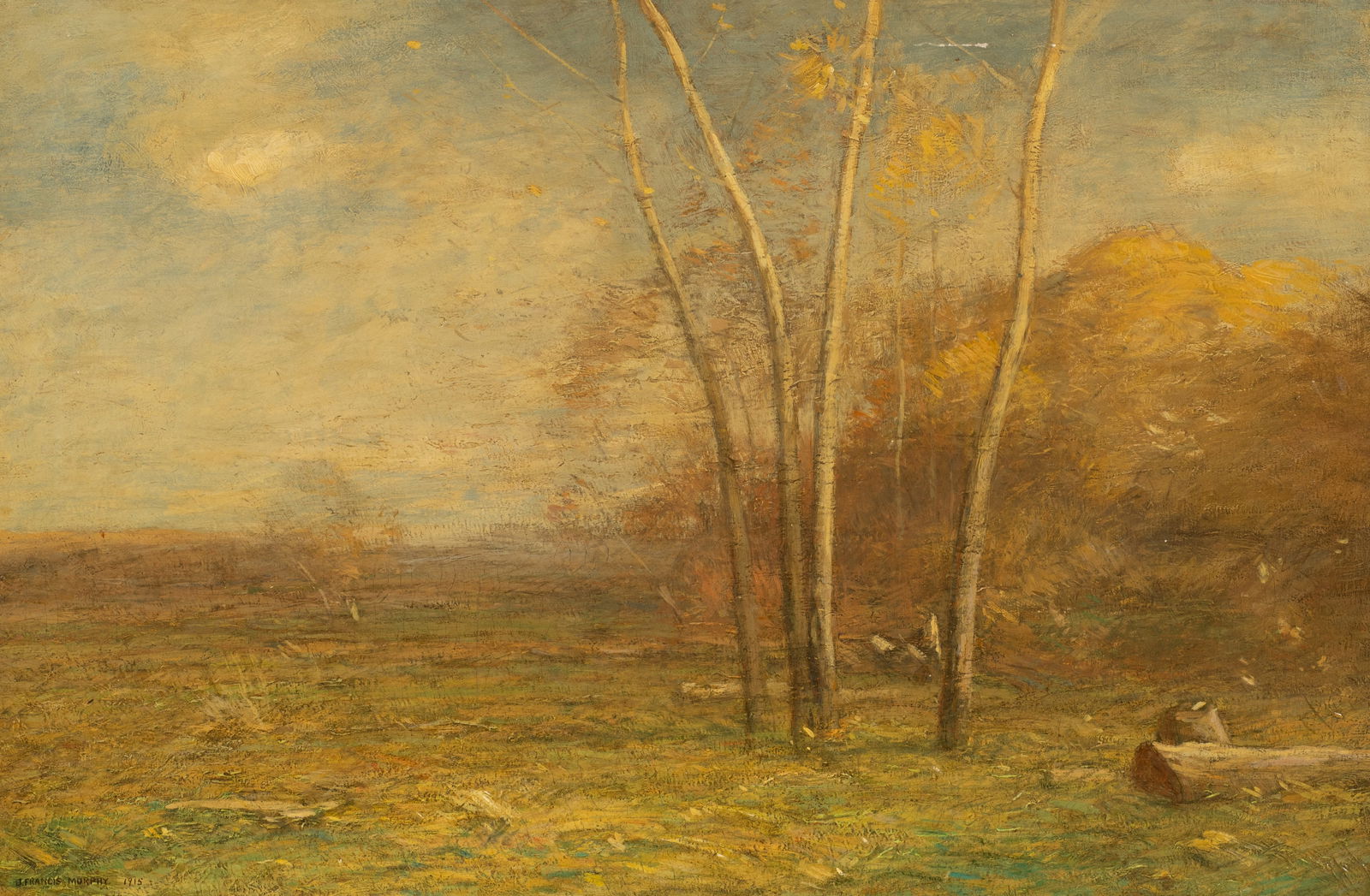 Landscape of a Field, John Francis Murphy. (1 of 6)