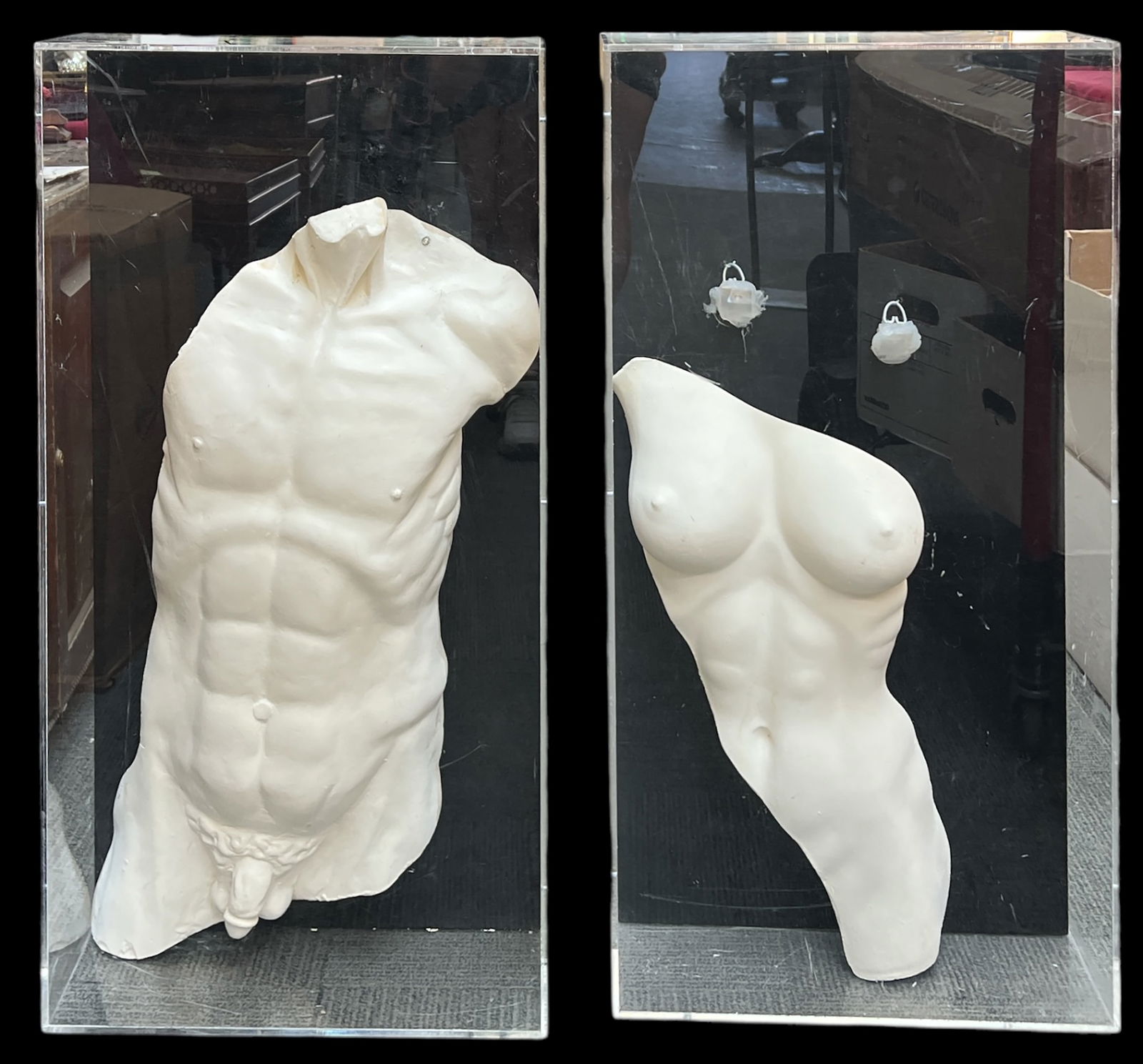 Pr. Plaster Cast Male & Female Nude Front Torsos.: The lot includes 2 sculptures in acrylic shadow boxes. The female sculpture is not mounted inside. The boxes both measure 35 1/2" tall, 16 1/2" wide, and 7 1/4" deep. The male cast measures 29 3/8" ta
