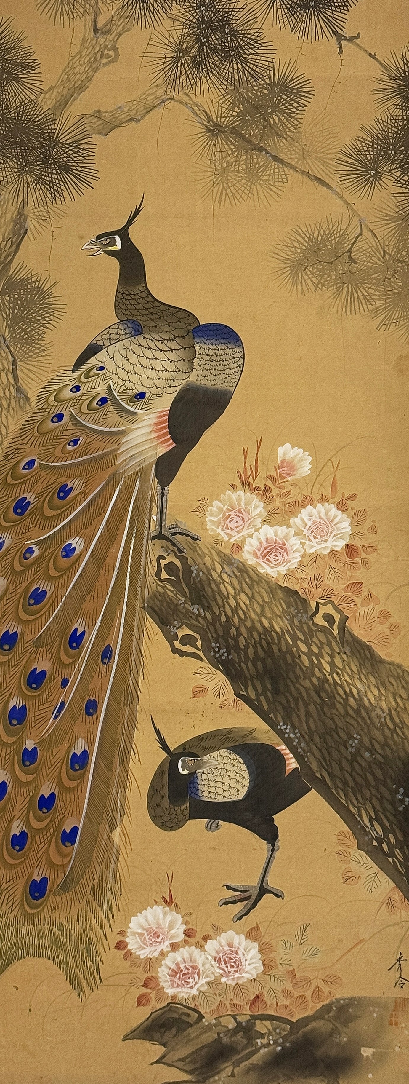 Old Japanese Watercolor on Silk, Artist Signed.: The scene is of peacocks amongst foliage. The painting is in good overall condition. It measures 48 1/2" x 19 1/2". The frame measures 49" x 20". Third-party shipping or personal pickup is required. P