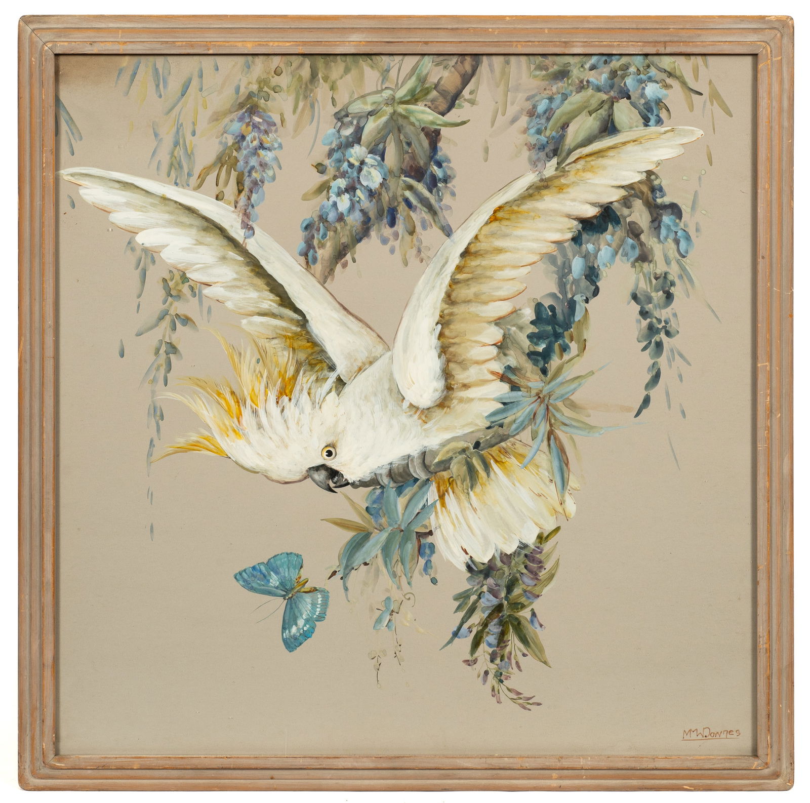 Watercolor of a Cockatoo, M. Downes: Artist(s): M. Downes Medium: Watercolor painting Signature(s): Signed lower right. Paperwork: N/A Damage: Discoloration to upper corners. Scuffs to the frame. Measurement(s): 27 1/2" x 27 1/2" (sight)