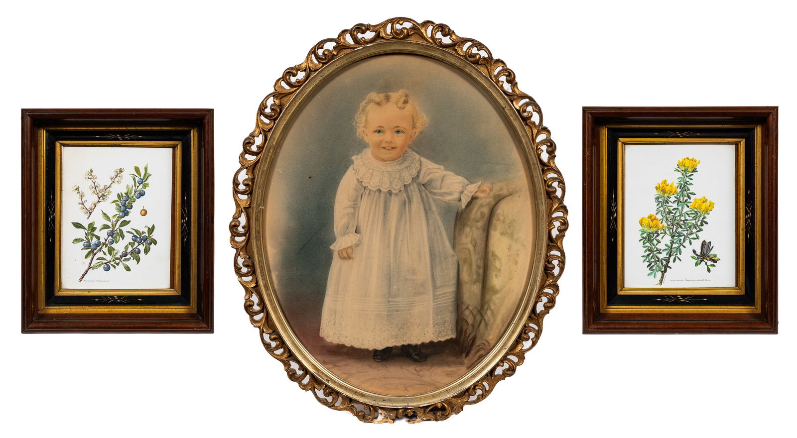 Pair of Botanical Prints & Portrait of a Child. (1 of 11)