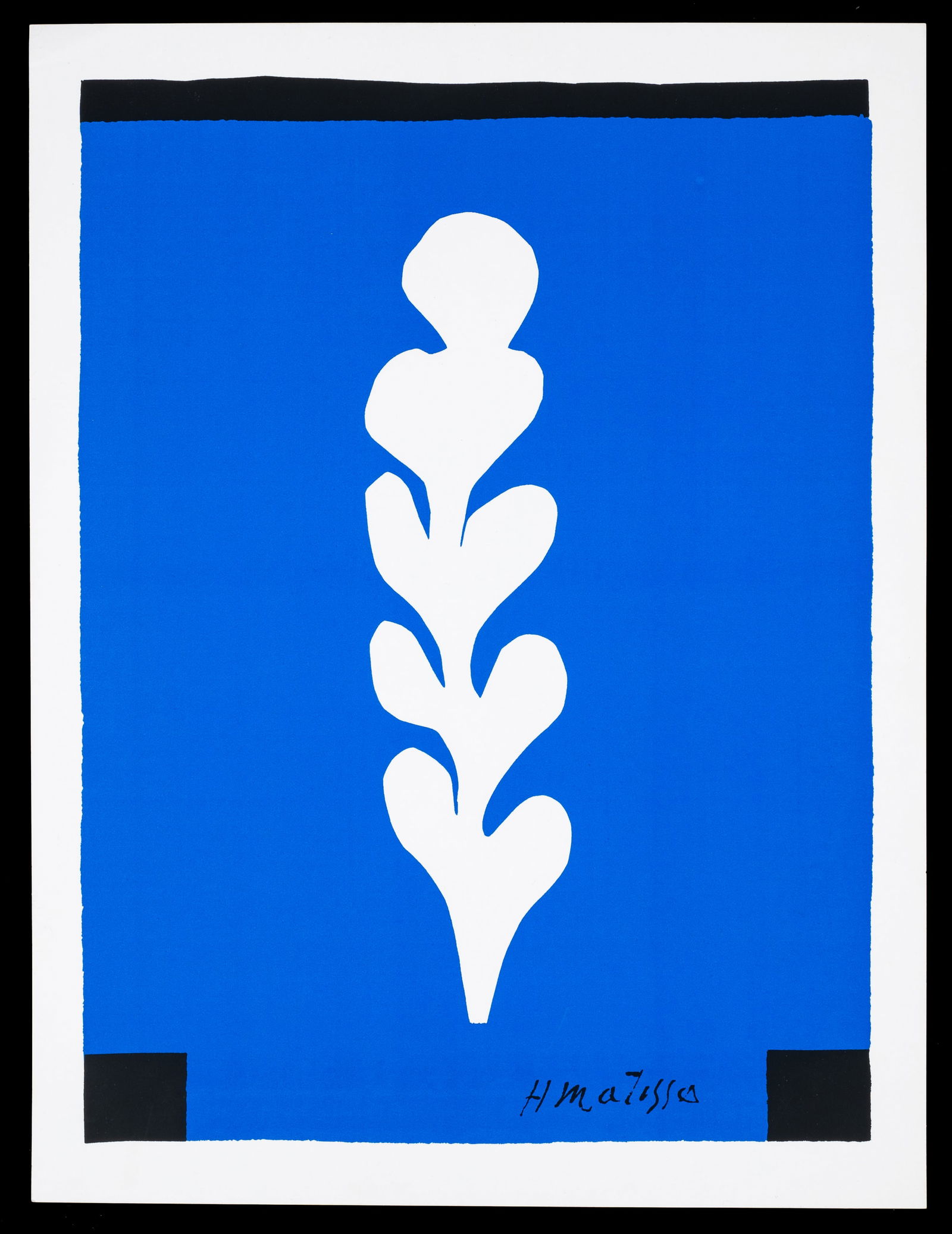 Palme Blanche Sur Fond Bleu, Henri Matisse Print. (1 of 5)