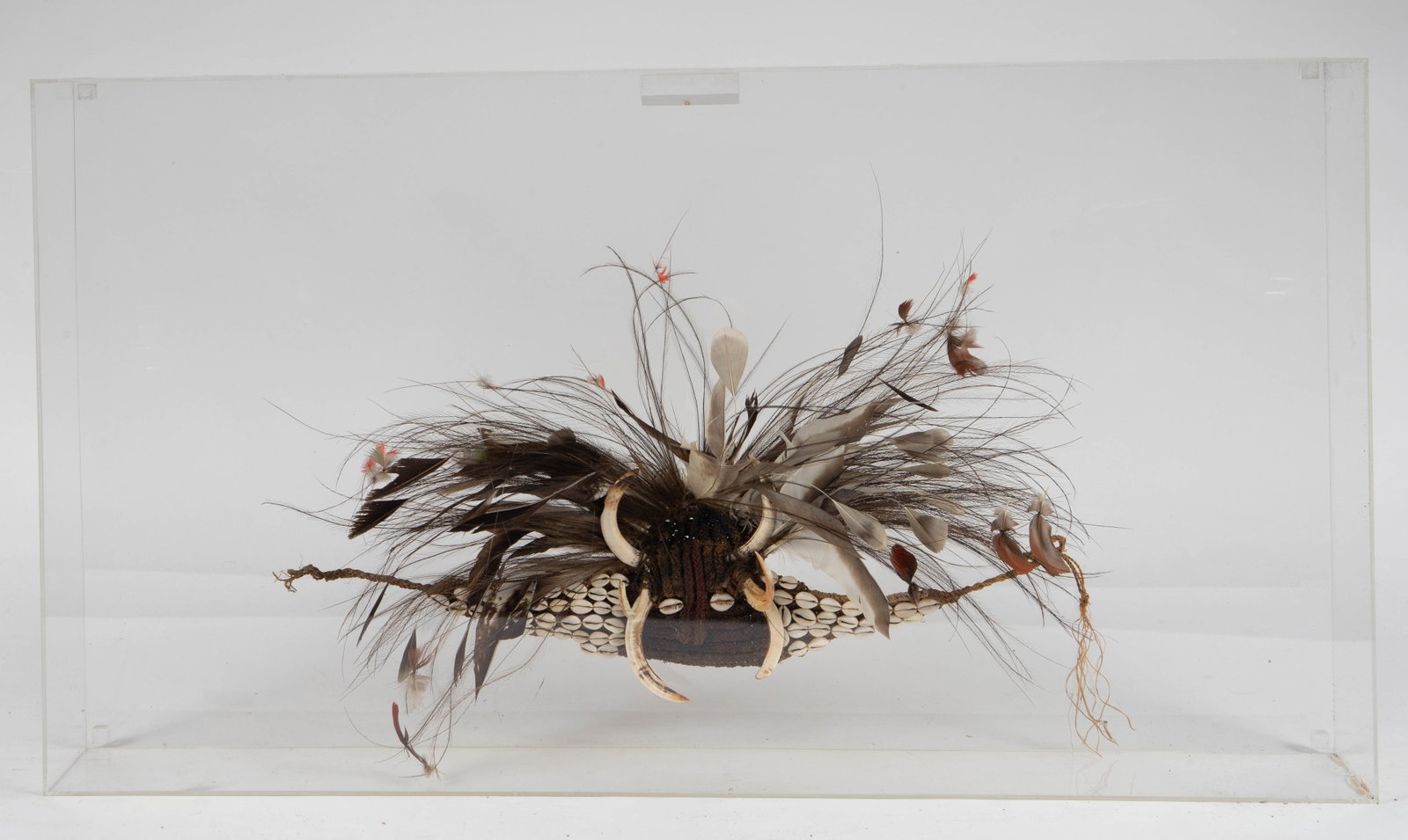 Papua New Guinea Headdress - Shells & Feathers.: This tribal ceremonial headdress features feathers, sea shells, and animal claws. The headdress, as it is displayed, measures 15" tall, and 26" wide. The piece is inside a large acrylic shadow box, wh