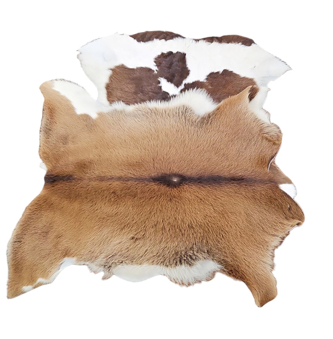 Lot of 2 Small Hides - Deer Hide & Cow Hide.: They each measure approximately 35" x 35". The cowhide has 2 small tears in it. The deer hide is in good overall condition, with a slight bare spot in the middle. In-house shipping is available for th