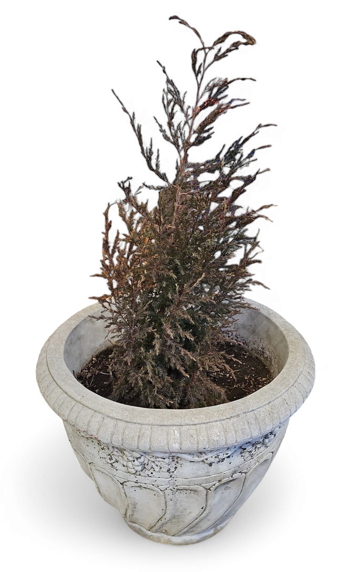 Large Concrete Planter, Studio Signed. (1 of 3)