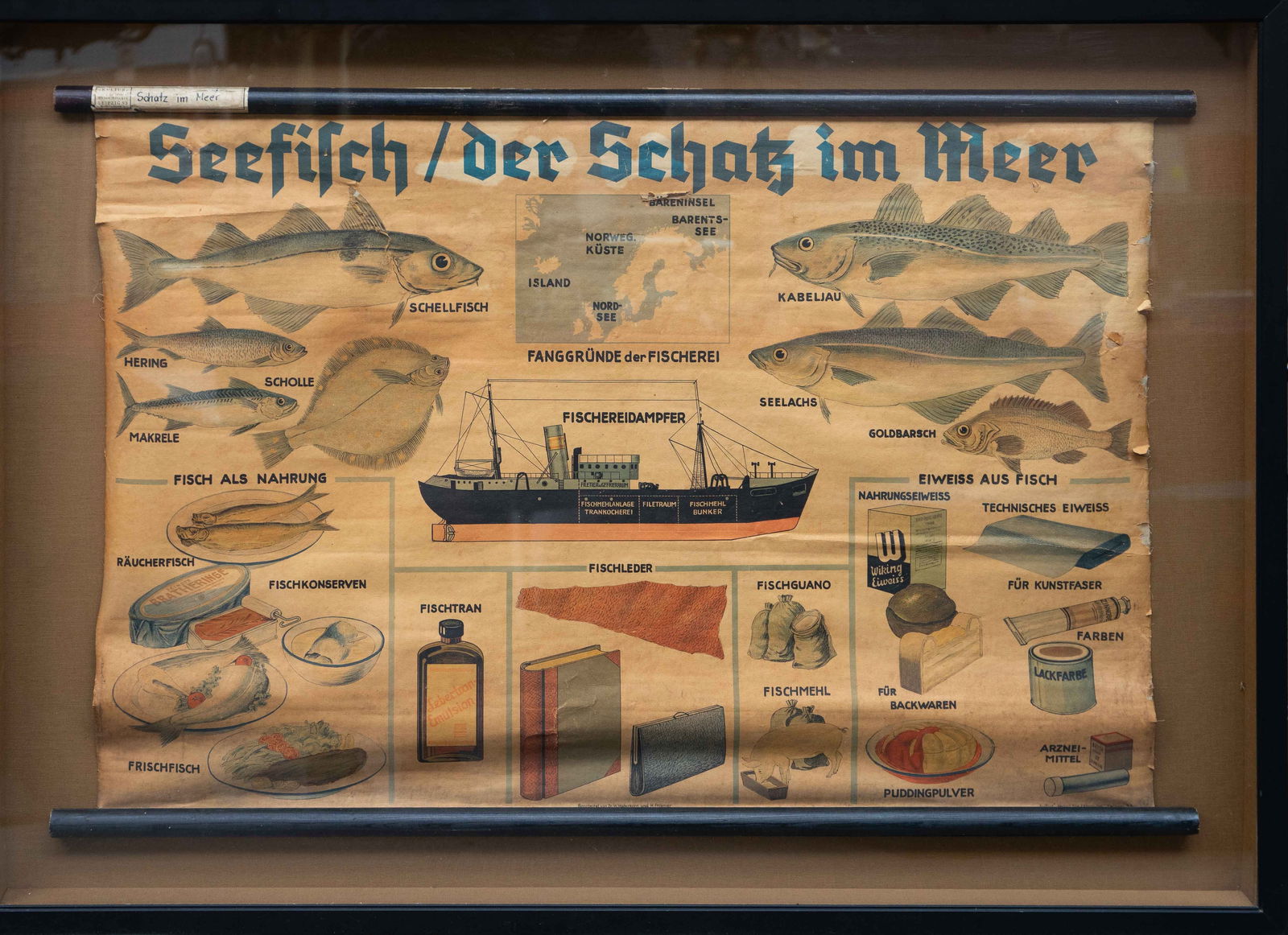 Vintage German Illustrated Fish Poster, Kultur. (1 of 8)
