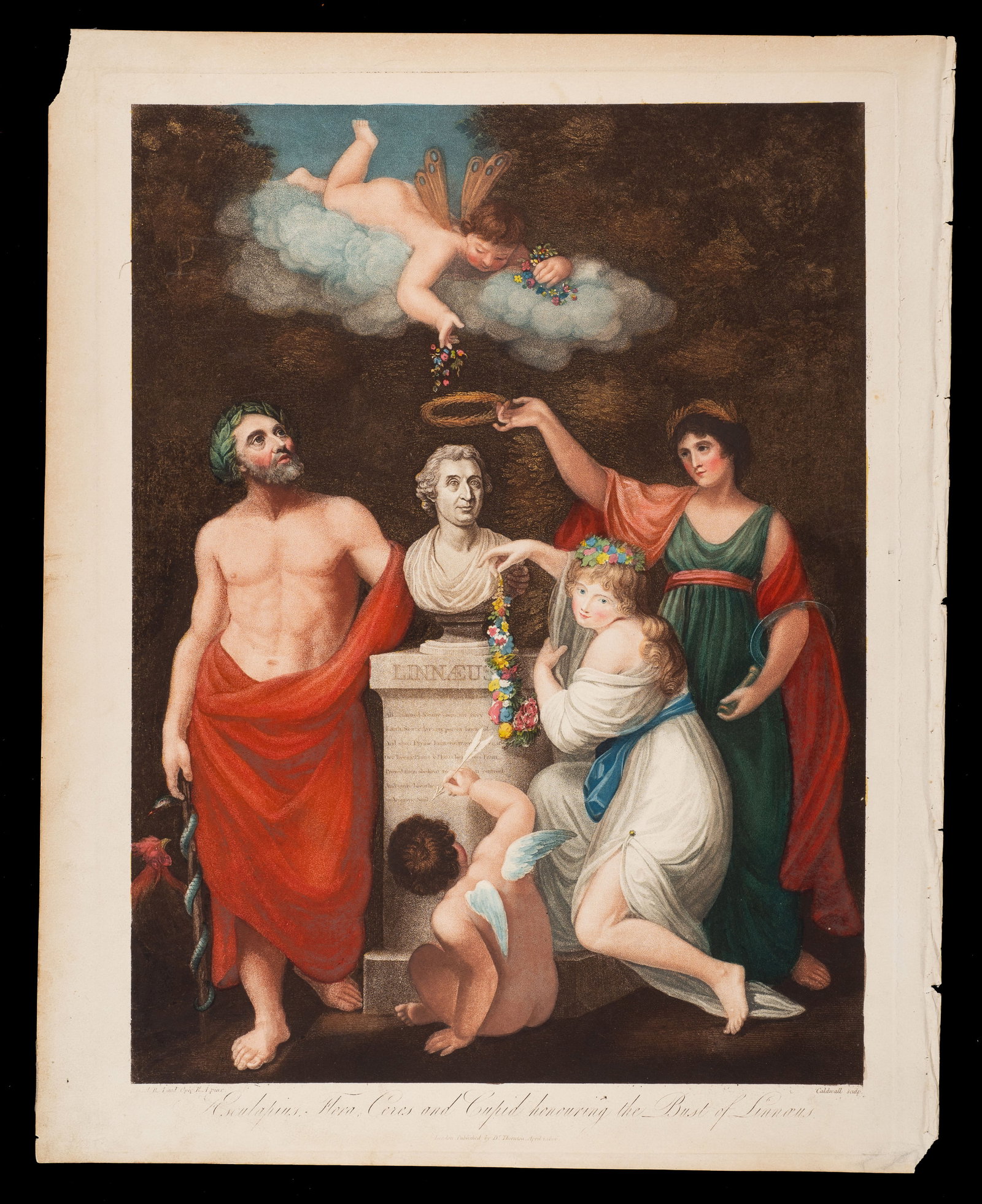 Asclepius, Flora, Ceres and Cupid, Temple of Flora: Asclepius, Flora, Ceres and Cupid honouring the Bust of Linnaeus from Dr. Robert Thornton's "The Temple of Flora..." After Russell and Sir John Opie, engraved by Caldwell. Medium: Hand-colored stipple