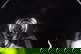 item-208449398=2