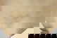 item-209850071=6