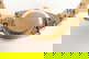 item-210449753=16