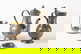 item-210503638=4