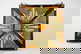 item-210508261=8