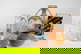 item-210540426=1