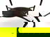 item-210545952=7
